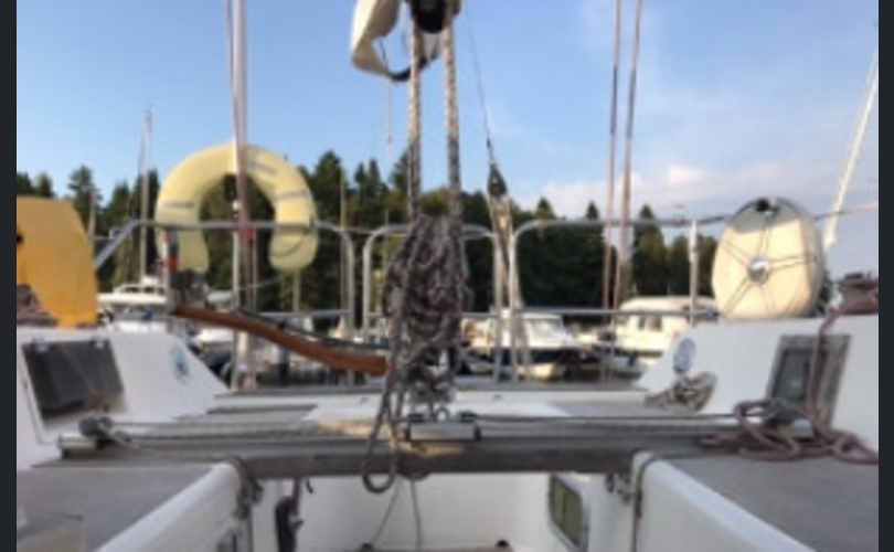 Finngulf Seaking-kuva-2